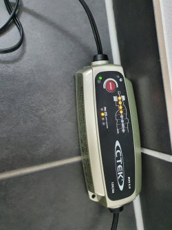 bat_04.jpg