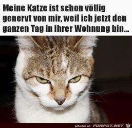982C8B2E-6C8F-411C-8DC9-3460D463285B.jpeg