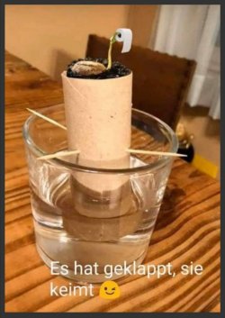 7EC50460-2E26-4E10-8BE8-3EA1D35EC5CB.jpeg