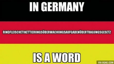 4Unbenannt.JPG