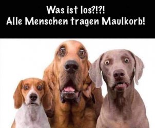 tUnbenannt.JPG