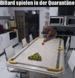 5Unbenannt.JPG