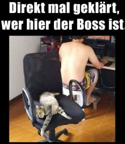 tUnbenannt.JPG