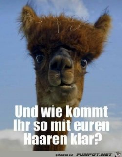 9C1053DD-829D-47BF-89AA-E7727B1152C2.jpeg