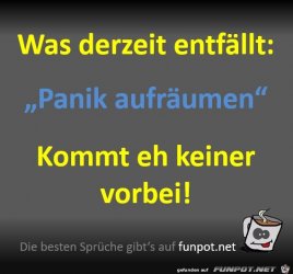 12CEEE61-868D-4FEB-98A6-2A0C0F916413.jpeg