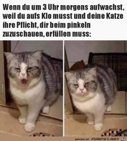 55109660-6D6B-4482-8226-18231ADAD960.jpeg