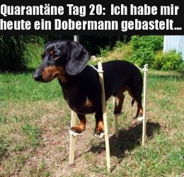 tUnbenannt.JPG