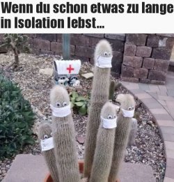 9Unbenannt.JPG