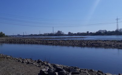 forum Wupper.jpg