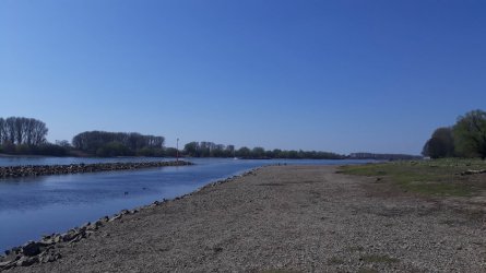 forum Wupper1.jpg
