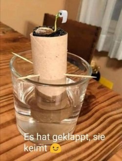 55410FB7-CEE9-40A4-94BD-15A7F2ADC5C5.jpeg