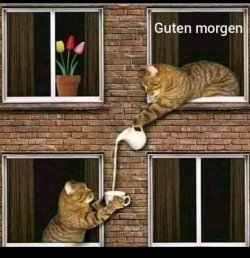 T..jpg