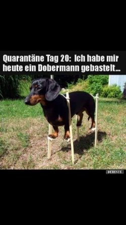 96DB284B-BAF9-456B-A3BD-63ABBBE9117C.jpeg