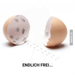 A1EEA720-9FFB-407D-BD80-82F1D279EFB0.jpeg