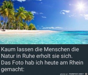 D65221DE-CCC3-4D8A-8F54-FFCE9FE990D6.jpeg