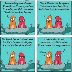 1Unbenannt.JPG