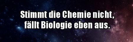 5Unbenannt.JPG