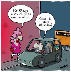 3Unbenannt.JPG