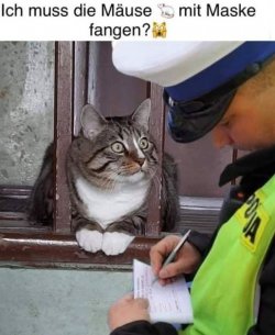 tUnbenannt.JPG