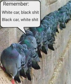 9Unbenannt.JPG