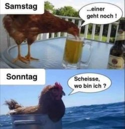 1B785715-273A-4344-8C23-3FFAC4A5DB6C.jpeg