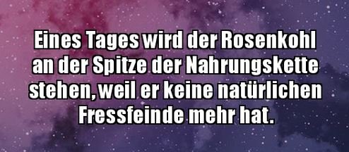 2Unbenannt.JPG