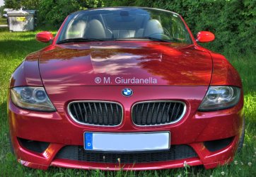 bwm5.jpg