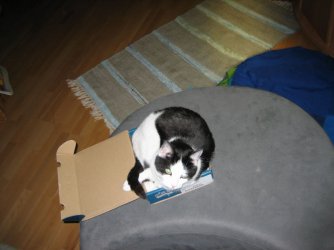 800IMG_0153.JPG