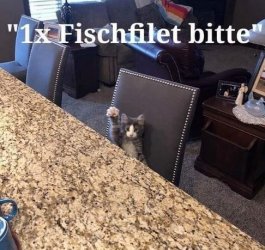 tUnbenannt.JPG