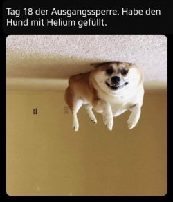 AF078945-68FB-45D3-87F8-10217444D38C.jpeg