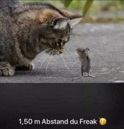 5E090379-567E-4F8A-9D8A-51B10D88D463.jpeg