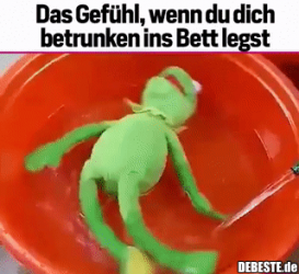 D0CEEB25-4B36-4929-8A30-24E55BED74D0.png