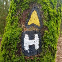 20200501_130714 Kopie.jpg