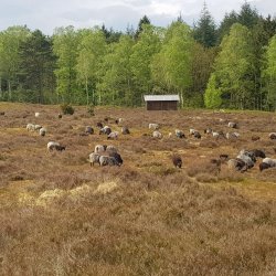 20200501_132532 Kopie.jpg