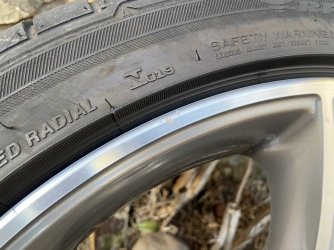 IMG_2525.JPEG IMG_2525.JPEG