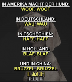 1588488589693.png