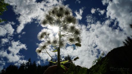 Würzjoch Hubertuskirchl (39).JPG