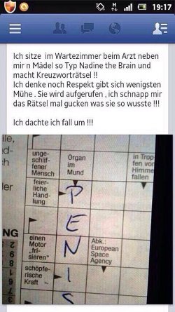 kreuzworträtsel.jpg