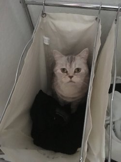 Lotte 05.JPG