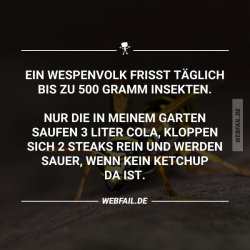 6F40D348-C010-4180-9798-F9E6920AACFA.jpeg