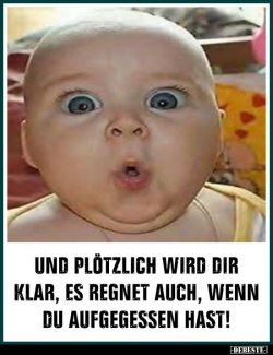 21F777CE-5AE5-4A51-8827-3ED9759F8A15.jpeg