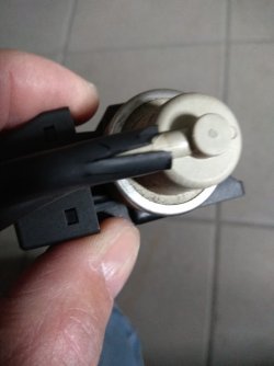 IMG_20200513_161424.jpg IMG_20200513_161424.jpg