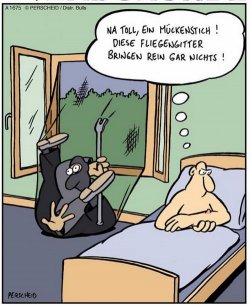 1Unbenannt.JPG