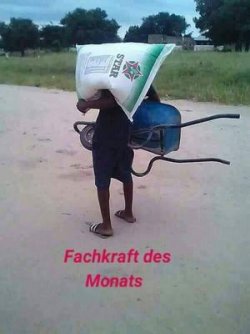 fachkraft.jpg