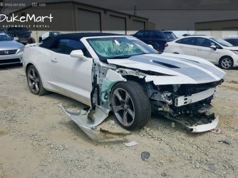 Camaro 07.JPG