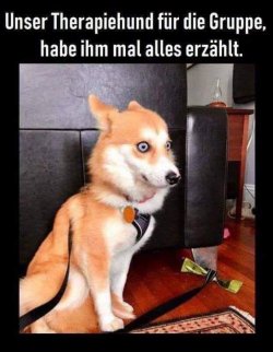 BF51728E-880C-43A2-9E9E-9CED090353E4.jpeg