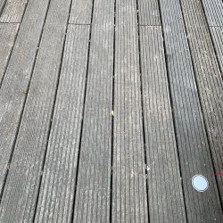 5D8F129F-E0AE-45E6-A245-82F29AEDE49C.jpeg