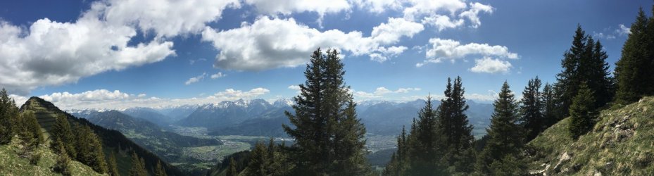 IMG_1007.jpg