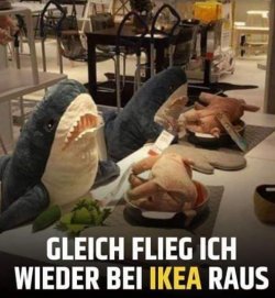 3Unbenannt - Kopie.JPG