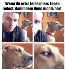 T..jpg